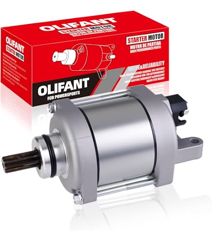 71dOP+7v8JL._AC_UL495_SR435,